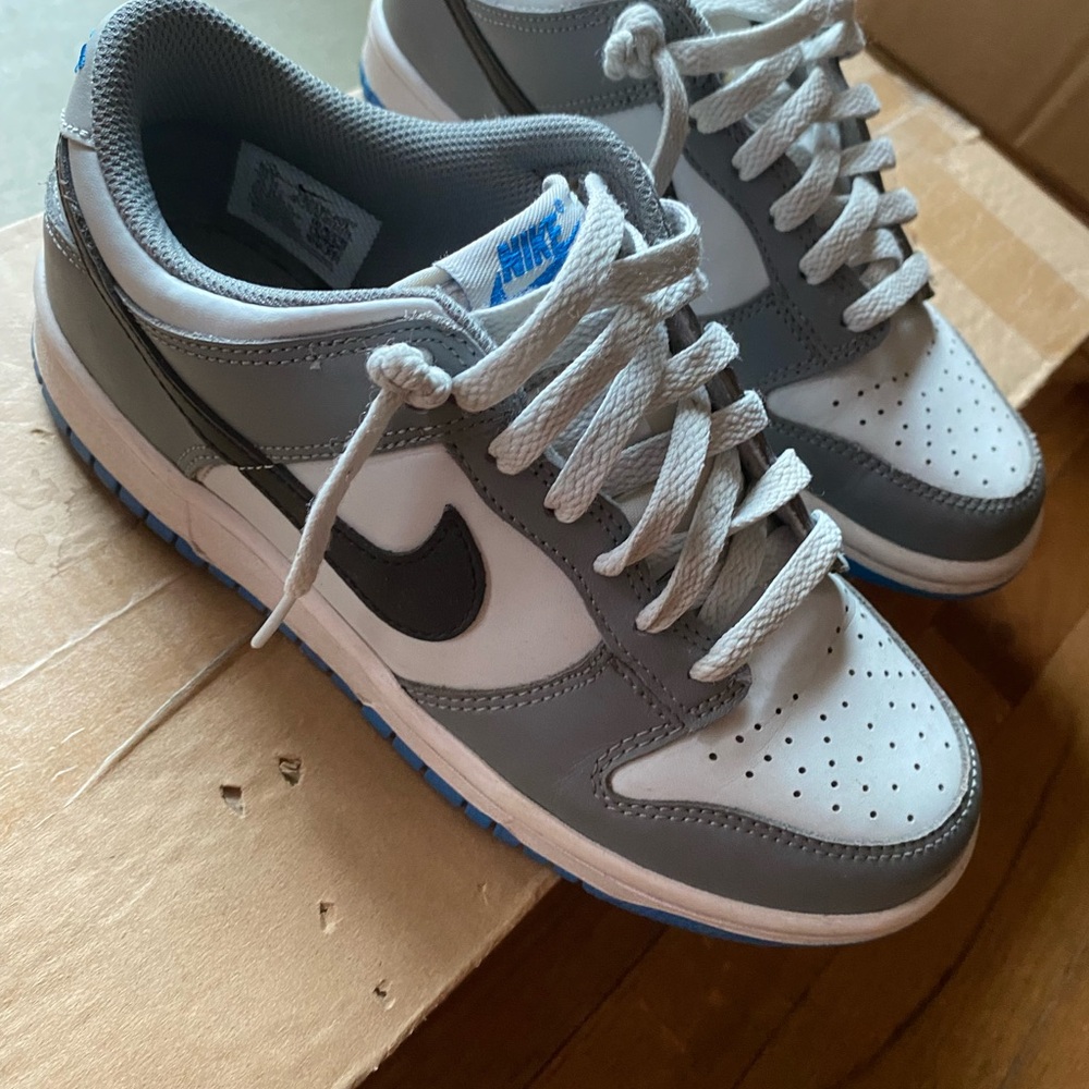 Nike dunks cool grey/blue